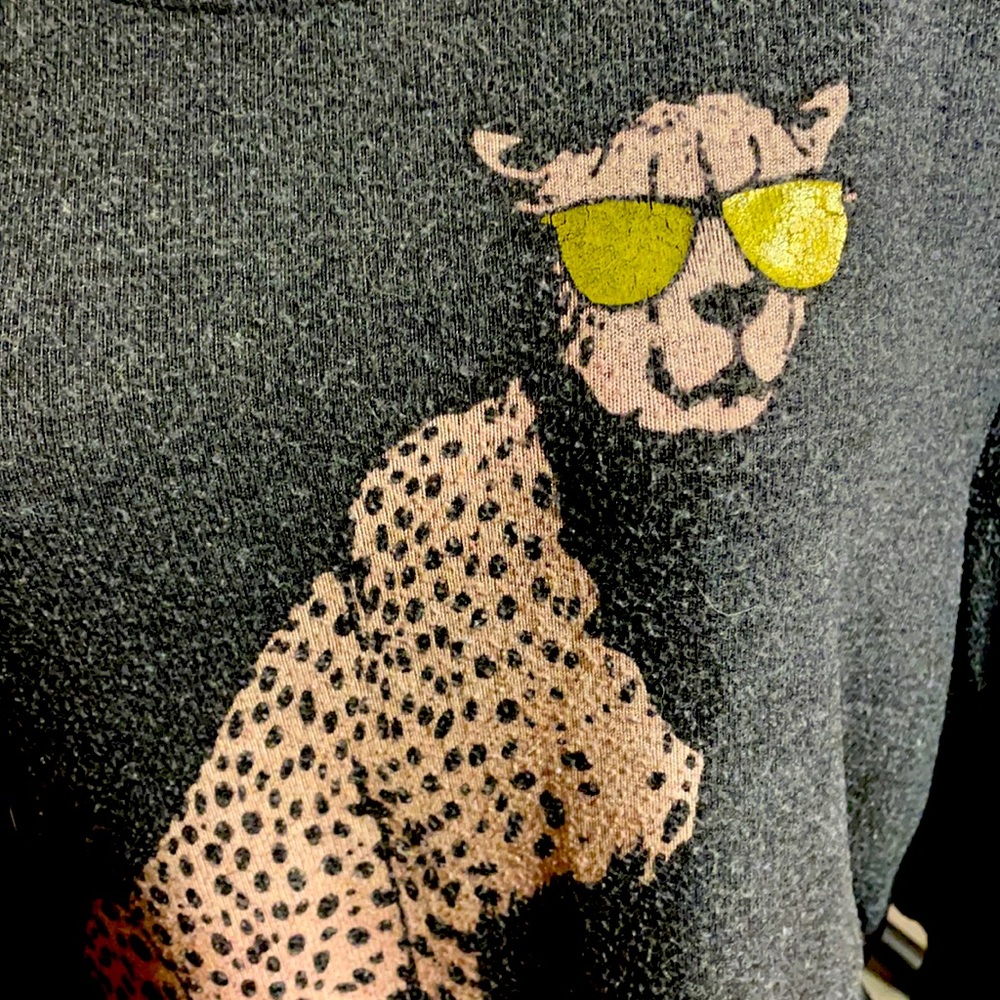 Authentic Stare at the Sun Wildfox BBJ